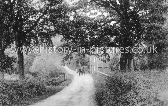 Weeley Road, Tendering, Essex. c.1905